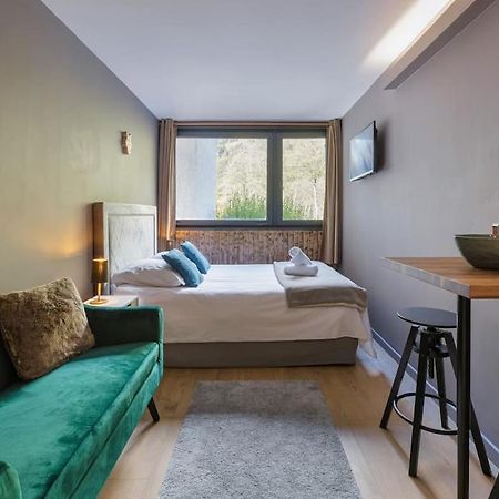 Fantastic Studio By The Lake With Mountain View Chamonix Luaran gambar